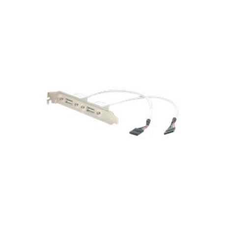 StarTech.com 2 Port USB A Female Slot Plate Adapter - USB panel - USB (F) to 5 pin in-line (F) - USBPLATE - USB panel - USB (F) to 5 pin in-line (F) - 0