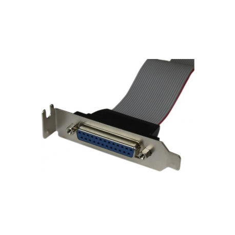 StarTech.com 16in DB25 Parallel Female to IDC 25 Pin Header Slot Plate (PLATE25F16) - Parallel panel - DB-25 (F) to 26 PIN IDC (F) - 40.64 cm - grey - 1