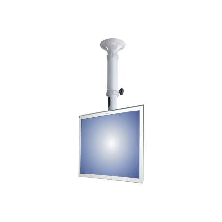 Neomounts by Newstar FPMA-C025 - Bracket - for LCD display - silver - screen size: 10"-30" - ceiling mountable - 1