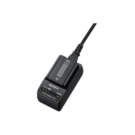 Sony BC-TRW - Battery charger - 1 x batteries charging - 400 mA - for Cyber-shot DSC-RX10; a NEX 3NL, 3NY, 5R, 5RK, 5RL, 5RY, 5T, 5TY; a3000; a7; a7R - 3