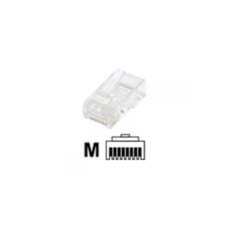 Intellinet RJ45 Modular Plugs, Cat6, UTP, 2-prong, for stranded wire, 15 gold plated contacts, 100 pack - Network connector - RJ-45 (M) - CAT 6 (pack of 100) - 0