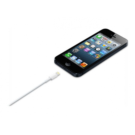 Apple Lightning to USB Cable - iPad  /  iPhone  /  iPod charging  /  data cable - Lightning  /  USB - USB (M) - to - Lightning (M) - 1 m - 2