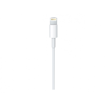 Apple - Lightning cable - Lightning male to USB male - 50 cm - for iPad / iPhone / iPod (Lightning) - 1