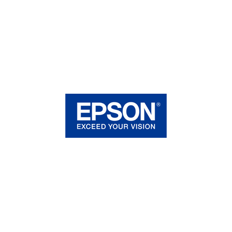 Epson FX 890IIN - Printer - B / W - dot-matrix - Roll (21.6 cm), JIS B4, 254 mm (width) - 240 x 144 dpi - 9 pin - up to 738 char / sec - parallel, USB 2.0, LAN - 0