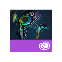 Adobe Premiere Pro CC for teams - Subscription Renewal - 1 named user - academic - Value Incentive Plan - Level 4 (100+) - Win, Mac - Multi European Languages