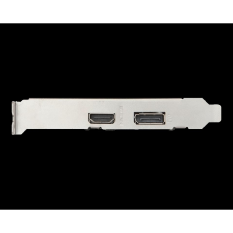 Gt on sale 1030 displayport