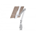 Neomounts by Newstar TABLET-D100 - Mounting kit - for tablet (full-motion) - silver - clamp mountable, desk-mountable