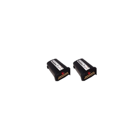 Datalogic - Handheld battery - 2600 mAh (pack of 2) - for TaskBook - 0