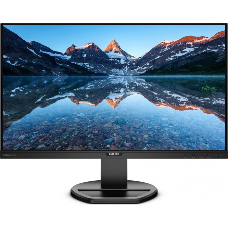 Philips B Line 252B9 - LED monitor - 25" - 1920 x 1200 WUXGA @ 60 Hz - IPS - 300 cd / m² - 1000:1 - 5 ms - HDMI, DVI-D, VGA, DisplayPort - speakers - black texture - 2