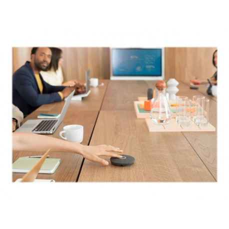 Logitech Rally Mic Pod - Microphone - for Rally, Rally Plus, Rally Bar, Rally Bar Mini - 1