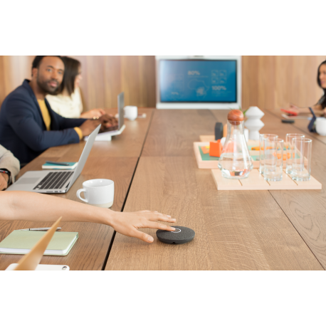 Logitech Rally - Video conferencing kit - 13