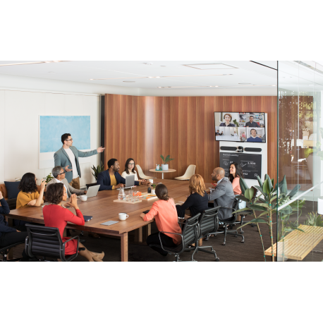 Logitech Rally - Video conferencing kit - 15