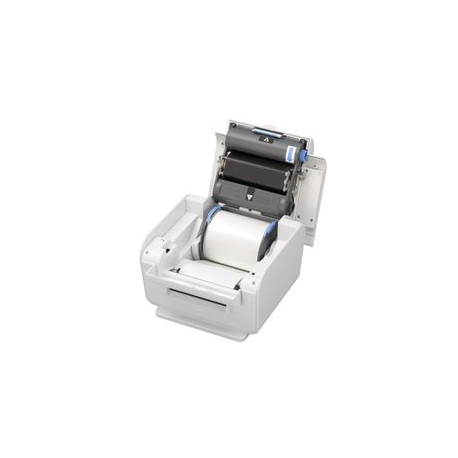 Epson LabelWorks Pro100 - Labelmaker - B / W - direct thermal  /  thermal transfer - Roll (1 cm) - 300 dpi - up to 20 mm / sec - USB - cutter - green, pale grey - 4