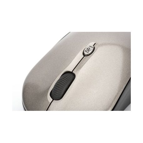 Ednet Notebook Mouse - Mouse - right and left-handed - optical - 3 buttons - wireless - 2.4 GHz - USB wireless receiver - black, antracite - 3