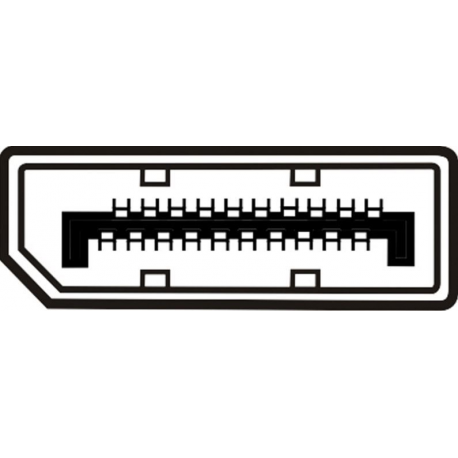 ASSMANN - DisplayPort cable - DisplayPort (M) to DVI-D (M) - 2 m - black - 1