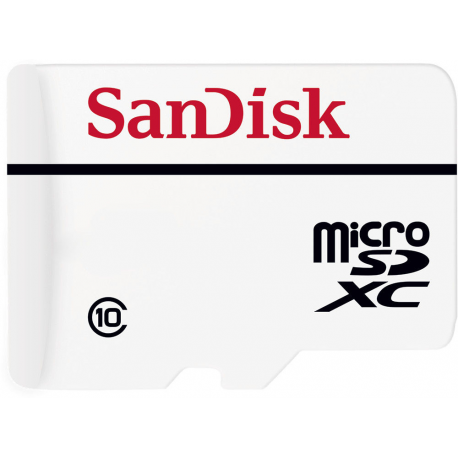 SanDisk High Endurance - Flash memory card (microSDXC to SD adapter included) - 256 GB - Video Class V30  /  UHS-I U3  /  Class10 - microSDXC UHS-I - 2