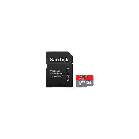SanDisk High Endurance - Flash memory card (microSDHC to SD adapter included) - 32 GB - Video Class V30 / UHS-I U3 / Class10 - microSDHC UHS-I - 3