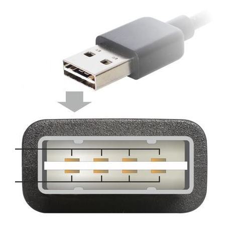 Ricoh - Magenta - original - toner cartridge - for Gestetner SP C231, SP C232; NRG SP C231, SP C232; Rex Rotary SP C231, SP C232 - 2