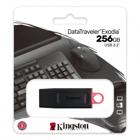 Kingston DataTraveler Exodia - USB flash drive - 256 GB - USB 3.2 Gen 1 - black / pink - 1