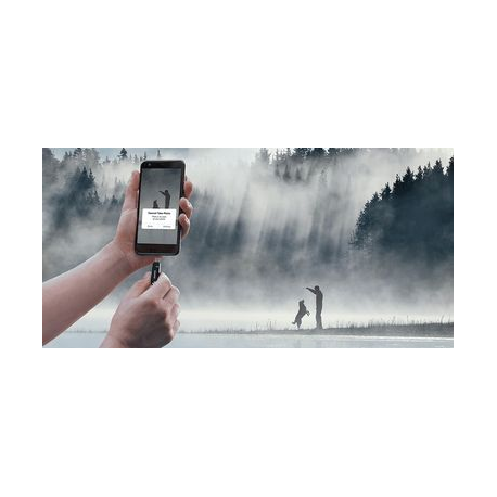 SanDisk Ultra Dual Drive Go - USB flash drive - 32 GB - USB 3.1 Gen 1  /  USB-C - 6