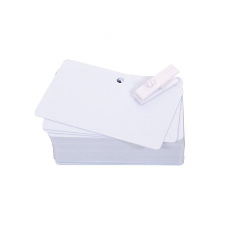 Evolis PVC Blank Pre-Punched Cards - Polyvinyl chloride (PVC) - 20 mil - 100 card(s) cards - 1