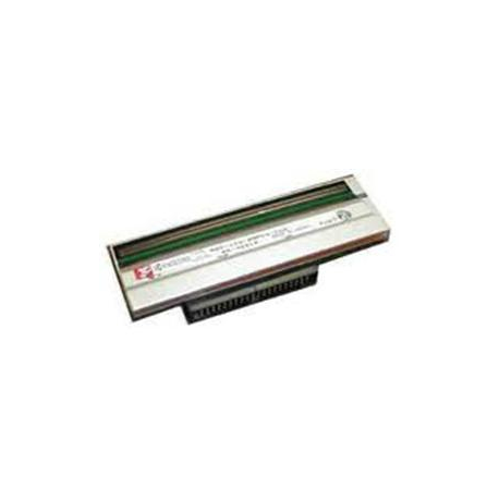 Zebra - 203 dpi - printhead - for Zebra ZT220, ZT230 - 2