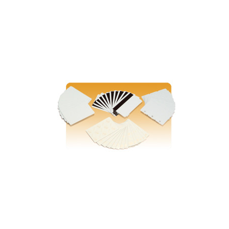 Zebra Premier - Mylar-backed polyvinyl chloride (PVC) - adhesive - 10 mil - 100 pcs. cards (pack of 5) - for Zebra P310F, P310i, P320i, P330i, P330m, P420i, P430i - 2