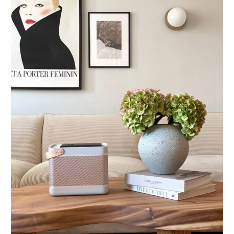 Bang & Olufsen Beolit 20 - Speaker - for portable use - wireless - Bluetooth - 70 Watt - 2-way - grey mist - 13