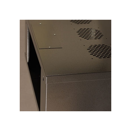 Netrack - Cabinet - wall mountable - graphite - 4U - 19" - 1