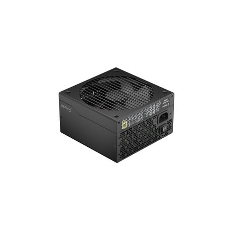 Fractal Design Ion Gold - Power supply (internal) - ATX12V 2.52 /  EPS12V 2.92 - 80 PLUS Gold - AC 100-240 V - 750 Watt - Europe - black - 2