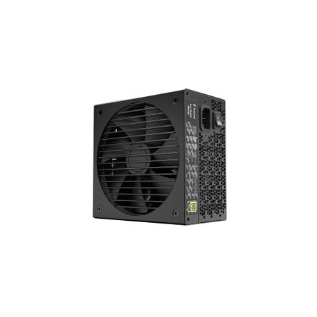 Fractal Design Ion Gold - Power supply (internal) - ATX12V 2.52 /  EPS12V 2.92 - 80 PLUS Gold - AC 100-240 V - 750 Watt - Europe - black - 6