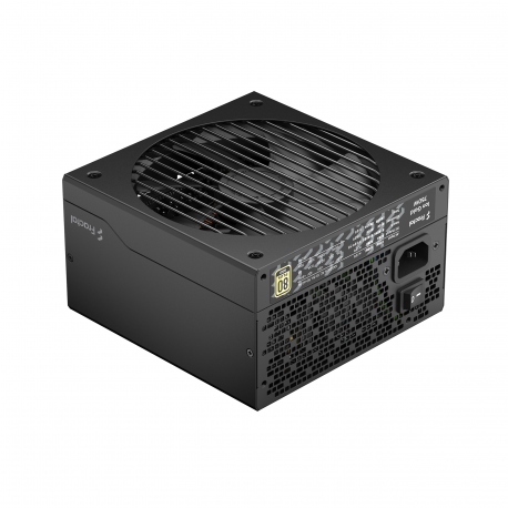 Fractal Design Ion Gold - Power supply (internal) - ATX12V 2.52 /  EPS12V 2.92 - 80 PLUS Gold - AC 100-240 V - 750 Watt - Europe - black - 28
