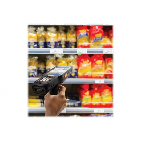 Datalogic Skorpio X5 - Data collection terminal - rugged - Android 10 - 64 GB - 4.3" colour TFT (800 x 480) - rear camera - barcode reader - (2D imager) - USB host - microSD slot - Wi-Fi 5, NFC, Bluetooth - 4