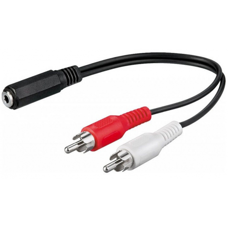 goobay AVK 179-0020 - Audio adaptor - RCA x 2 (M) to stereo mini jack (F) - 20 cm - 0