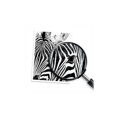 HP 912 - 8.29 ml - black - original - ink cartridge - for Officejet 80XX; Officejet Pro 80XX - 6