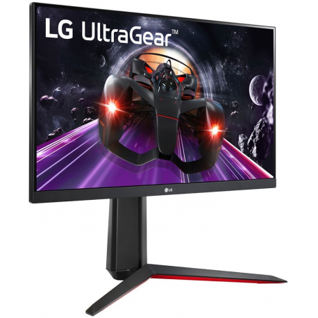 LG UltraGear 24GN650-B - LED monitor - Prompt SIA