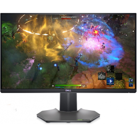 Dell 25 Gaming Monitor S2522HG - LED monitor - Prompt SIA