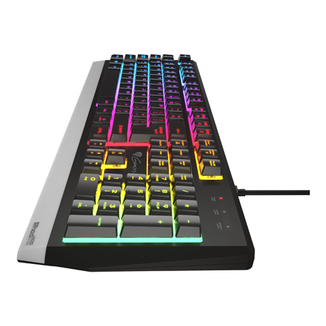 Genesis Rhod Series 300 RGB - Keyboard - backlit - USB - QWERTY - US - black - 2