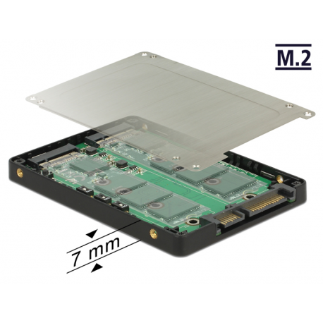 DeLOCK - Storage controller (RAID) - M.2 Card - RAID 0, 1 - SATA 6Gb / s - black, silver - 1