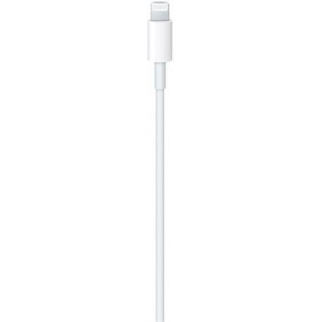 Apple USB-C to Lightning Cable - Lightning cable - USB-C male to Lightning male - 1 m - for iPad / iPhone / iPod - 1