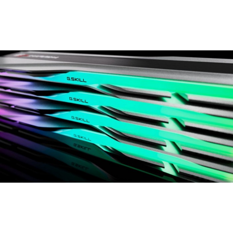 G.Skill Trident Z5 RGB - DDR5 - kit - 32 GB: 2 x 16 GB - DIMM 288-pin - 5600 MHz  /  PC5-44800 - CL40 - 1.2 V - unbuffered - non-ECC - metallic silver - 6