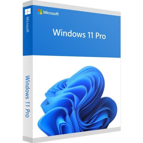 Windows 11 Pro - Box pack - 1 licence - flash drive - 64-bit - English International - 0