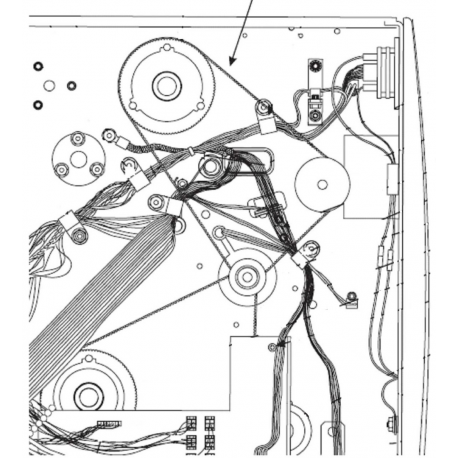 Zebra - Main drive belt - for Stripe S300, S400, S500, S600 - 0