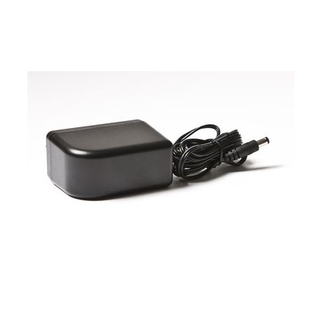 Brother ADE001A - Power adapter - AC 100-240 V - Europe - for P-Touch PT-D400, D450, D600, E300, E500, E550, H300, H500, P700, P750 - 1