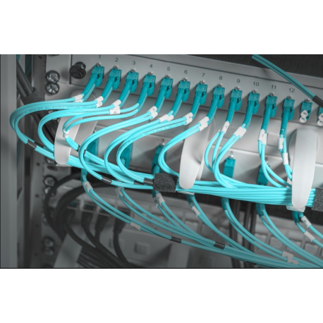 DIGITUS Professional Line DN-97601 - Rack cable management panel - RAL 7035 - 1U - 19" - 5