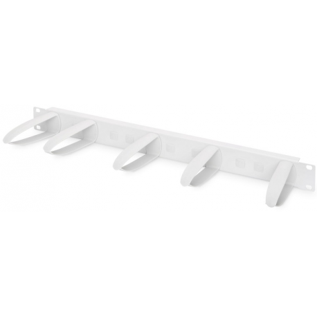 DIGITUS Professional Line DN-97601 - Rack cable management panel - RAL 7035 - 1U - 19" - 7