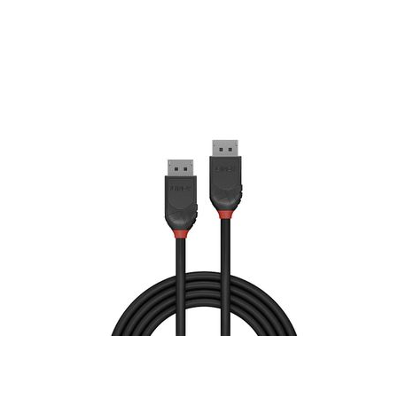 Lindy Black Line - DisplayPort cable - DisplayPort (M) to DisplayPort (M) - DisplayPort 1.2 - 50 cm - black - 1
