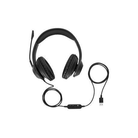 Targus AEH102GL - Headset - on-ear - convertible - wired - USB-A - noise isolating - black - 1