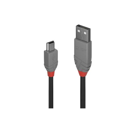 2m Mini USB 2.0 Cable - A to Mini B - M/M