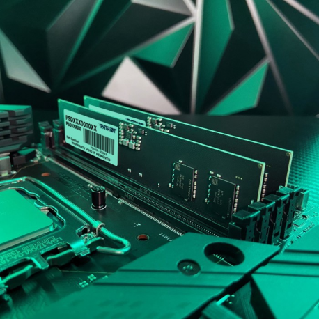 Patriot Signature Line - DDR5 - module - 8 GB - DIMM 288-pin - 4800 MHz / PC5-38400 - CL40 - 1.1 V - unbuffered - on-die ECC - black - 5